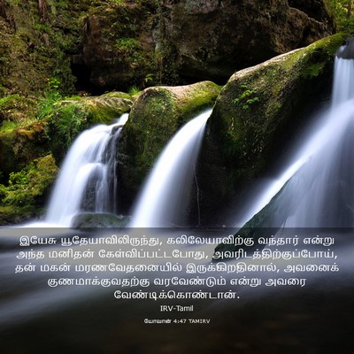 Picture 03 - யோவான் 4:47 TAMIRV - இயேசு - Bible Verse Picture