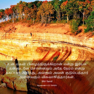 Picture 03 - யோவான் 4:53 TAMIRV - உன் மகன் - Bible Verse Picture