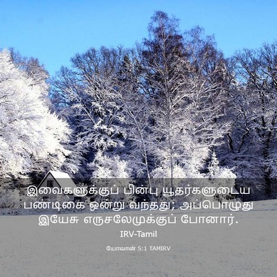 Picture 03 - யோவான் 5:1 TAMIRV - இவைகளுக்குப் - Bible Verse Picture