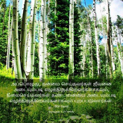 Picture 03 - யோவான் 5:29 TAMIRV - அப்பொழுது, நன்மை - Bible Verse Picture