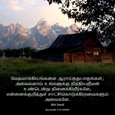 Picture 03 - யோவான் 5:39 TAMIRV - வேதவாக்கியங்களை - Bible Verse Picture