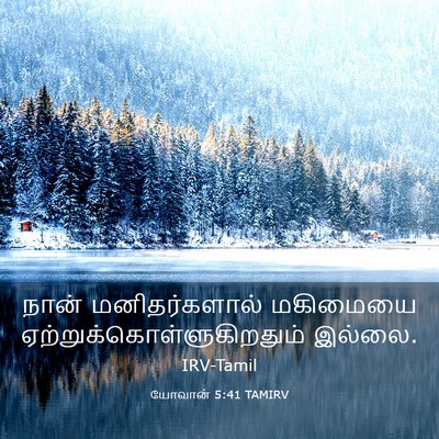 Picture 03 - யோவான் 5:41 TAMIRV - நான் மனிதர்களால் - Bible Verse Picture