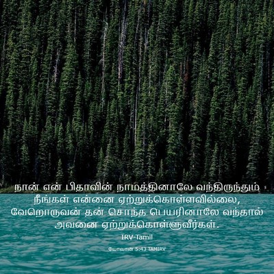 Picture 03 - யோவான் 5:43 TAMIRV - நான் என் பிதாவின் - Bible Verse Picture