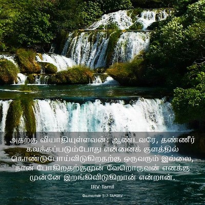 Picture 03 - யோவான் 5:7 TAMIRV - அதற்கு - Bible Verse Picture
