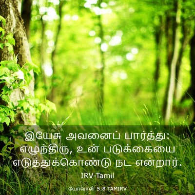 Picture 03 - யோவான் 5:8 TAMIRV - இயேசு அவனைப் - Bible Verse Picture