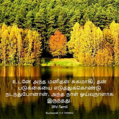 Picture 03 - யோவான் 5:9 TAMIRV - உடனே அந்த மனிதன் - Bible Verse Picture