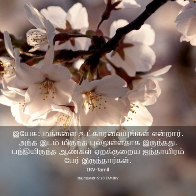 Picture 03 - யோவான் 6:10 TAMIRV - இயேசு: மக்களை - Bible Verse Picture