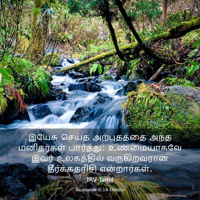 Picture 03 - யோவான் 6:14 TAMIRV - இயேசு செய்த - Bible Verse Picture