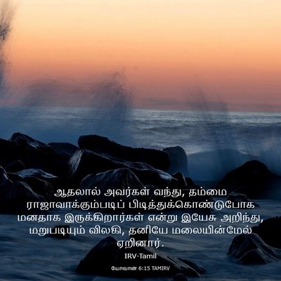 Picture 03 - யோவான் 6:15 TAMIRV - ஆதலால் அவர்கள் - Bible Verse Picture