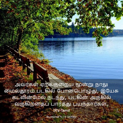 Picture 03 - யோவான் 6:19 TAMIRV - அவர்கள் ஏறக்குறைய - Bible Verse Picture