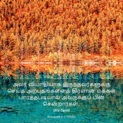 Picture 03 - யோவான் 6:2 TAMIRV - அவர் வியாதியாக - Bible Verse Picture