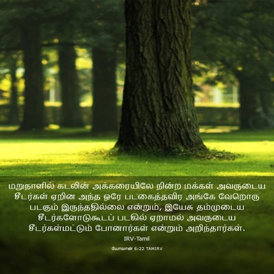 Picture 03 - யோவான் 6:22 TAMIRV - மறுநாளில் கடலின் - Bible Verse Picture