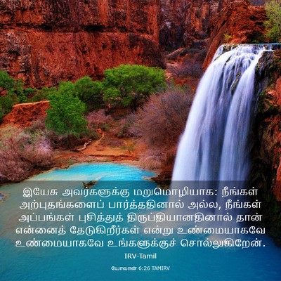 Picture 03 - யோவான் 6:26 TAMIRV - இயேசு அவர்களுக்கு - Bible Verse Picture