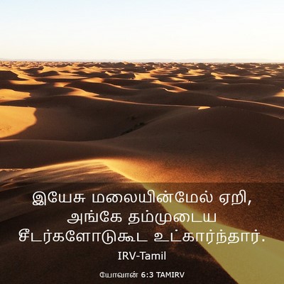 Picture 03 - யோவான் 6:3 TAMIRV - இயேசு மலையின்மேல் - Bible Verse Picture