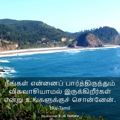 Picture 03 - யோவான் 6:36 TAMIRV - நீங்கள் என்னைப் - Bible Verse Picture