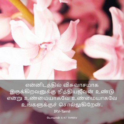 Picture 03 - யோவான் 6:47 TAMIRV - என்னிடத்தில் - Bible Verse Picture