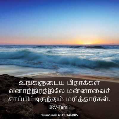 Picture 03 - யோவான் 6:49 TAMIRV - உங்களுடைய - Bible Verse Picture