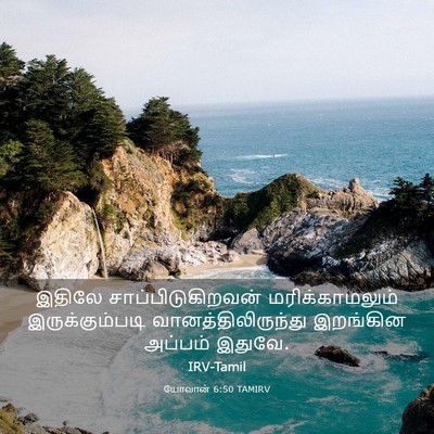 Picture 03 - யோவான் 6:50 TAMIRV - இதிலே - Bible Verse Picture