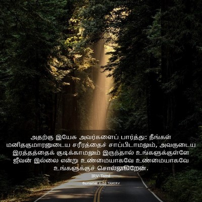 Picture 03 - யோவான் 6:53 TAMIRV - அதற்கு இயேசு - Bible Verse Picture