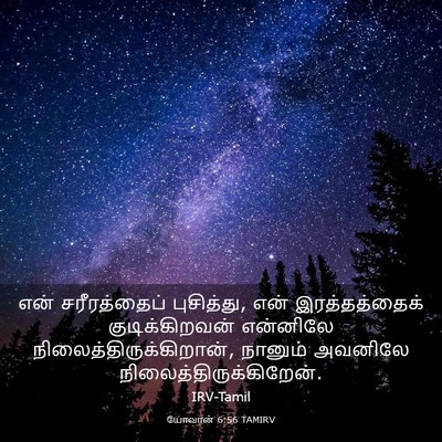Picture 03 - யோவான் 6:56 TAMIRV - என் சரீரத்தைப் - Bible Verse Picture