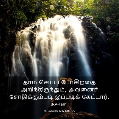 Picture 03 - யோவான் 6:6 TAMIRV - தாம் செய்ய - Bible Verse Picture
