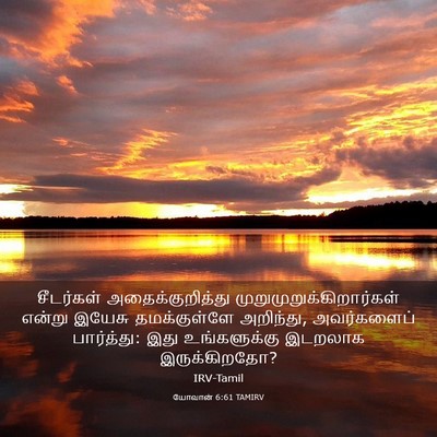 Picture 03 - யோவான் 6:61 TAMIRV - சீடர்கள் - Bible Verse Picture