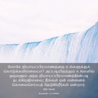Picture 03 - யோவான் 7:19 TAMIRV - மோசே - Bible Verse Picture