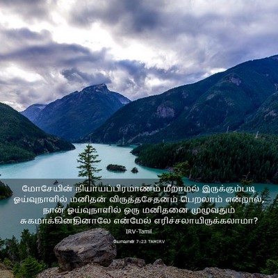 Picture 03 - யோவான் 7:23 TAMIRV - மோசேயின் - Bible Verse Picture