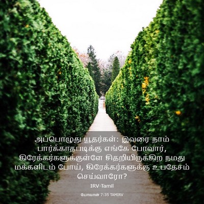 Picture 03 - யோவான் 7:35 TAMIRV - அப்பொழுது - Bible Verse Picture