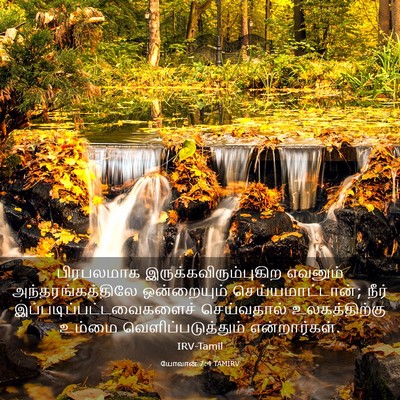 Picture 03 - யோவான் 7:4 TAMIRV - பிரபலமாக - Bible Verse Picture