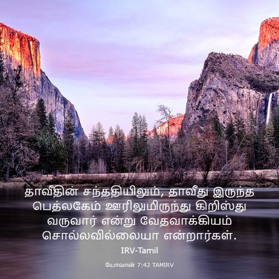Picture 03 - யோவான் 7:42 TAMIRV - தாவீதின் - Bible Verse Picture