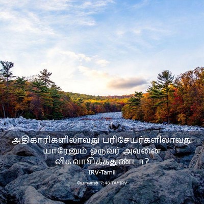 Picture 03 - யோவான் 7:48 TAMIRV - அதிகாரிகளிலாவது - Bible Verse Picture