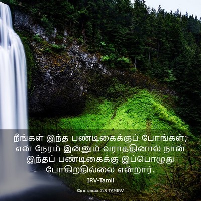 Picture 03 - யோவான் 7:8 TAMIRV - நீங்கள் இந்த - Bible Verse Picture