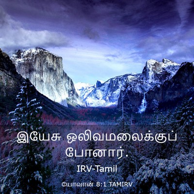 Picture 03 - யோவான் 8:1 TAMIRV - இயேசு - Bible Verse Picture