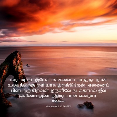 Picture 03 - யோவான் 8:12 TAMIRV - மறுபடியும் இயேசு - Bible Verse Picture
