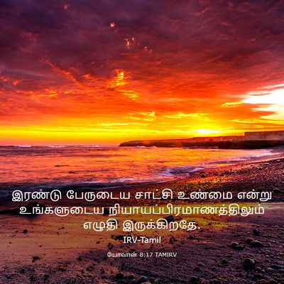 Picture 03 - யோவான் 8:17 TAMIRV - இரண்டு பேருடைய - Bible Verse Picture