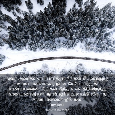 Picture 03 - யோவான் 8:23 TAMIRV - அவர் அவர்களைப் - Bible Verse Picture