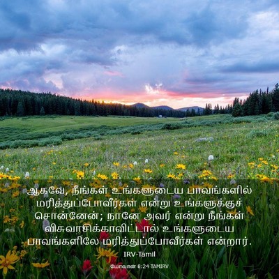 Picture 03 - யோவான் 8:24 TAMIRV - ஆகவே, நீங்கள் - Bible Verse Picture