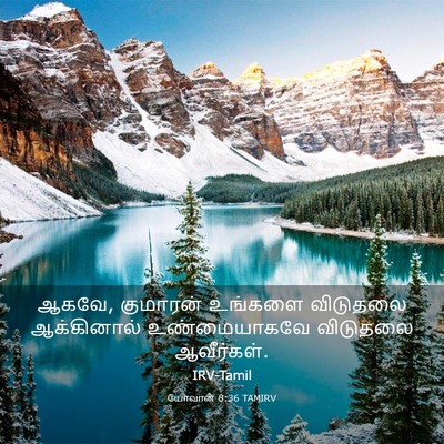 Picture 03 - யோவான் 8:36 TAMIRV - ஆகவே, குமாரன் - Bible Verse Picture