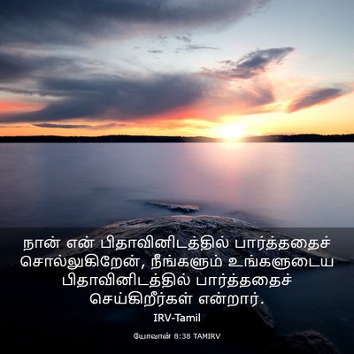 Picture 03 - யோவான் 8:38 TAMIRV - நான் என் - Bible Verse Picture
