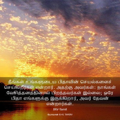 Picture 03 - யோவான் 8:41 TAMIRV - நீங்கள் உங்களுடைய - Bible Verse Picture