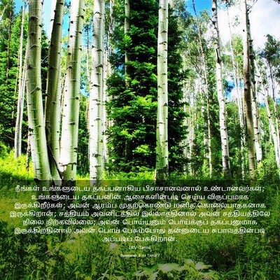 Picture 03 - யோவான் 8:44 TAMIRV - நீங்கள் உங்களுடைய - Bible Verse Picture