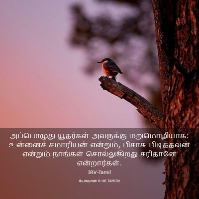 Picture 03 - யோவான் 8:48 TAMIRV - அப்பொழுது - Bible Verse Picture