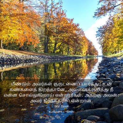 Picture 03 - யோவான் 9:17 TAMIRV - மீண்டும் அவர்கள் - Bible Verse Picture