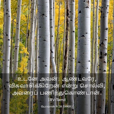 Picture 03 - யோவான் 9:38 TAMIRV - உடனே அவன்: ஆண்டவரே, - Bible Verse Picture