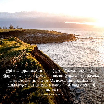 Picture 03 - யோவான் 9:41 TAMIRV - இயேசு அவர்களைப் - Bible Verse Picture