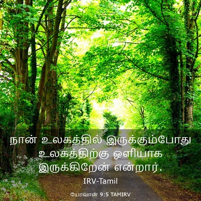 Picture 03 - யோவான் 9:5 TAMIRV - நான் உலகத்தில் - Bible Verse Picture