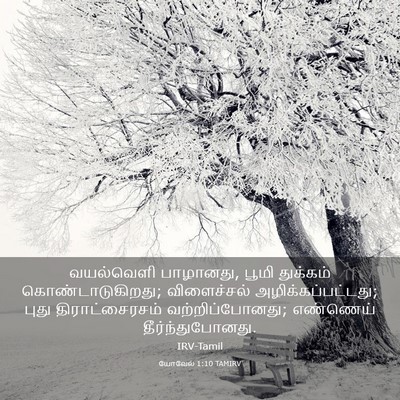 Picture 03 - யோவேல் 1:10 TAMIRV - வயல்வெளி பாழானது, - Bible Verse Picture