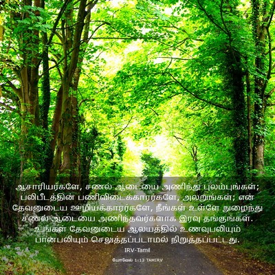 Picture 03 - யோவேல் 1:13 TAMIRV - ஆசாரியர்களே, சணல் - Bible Verse Picture