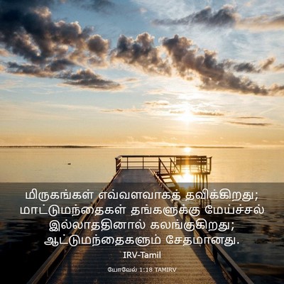 Picture 03 - யோவேல் 1:18 TAMIRV - மிருகங்கள் - Bible Verse Picture